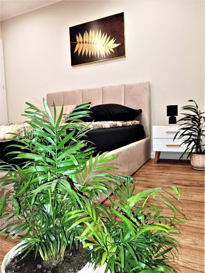 Apartament Przy Kopalni Srebra Тарновске Гори Екстериор снимка