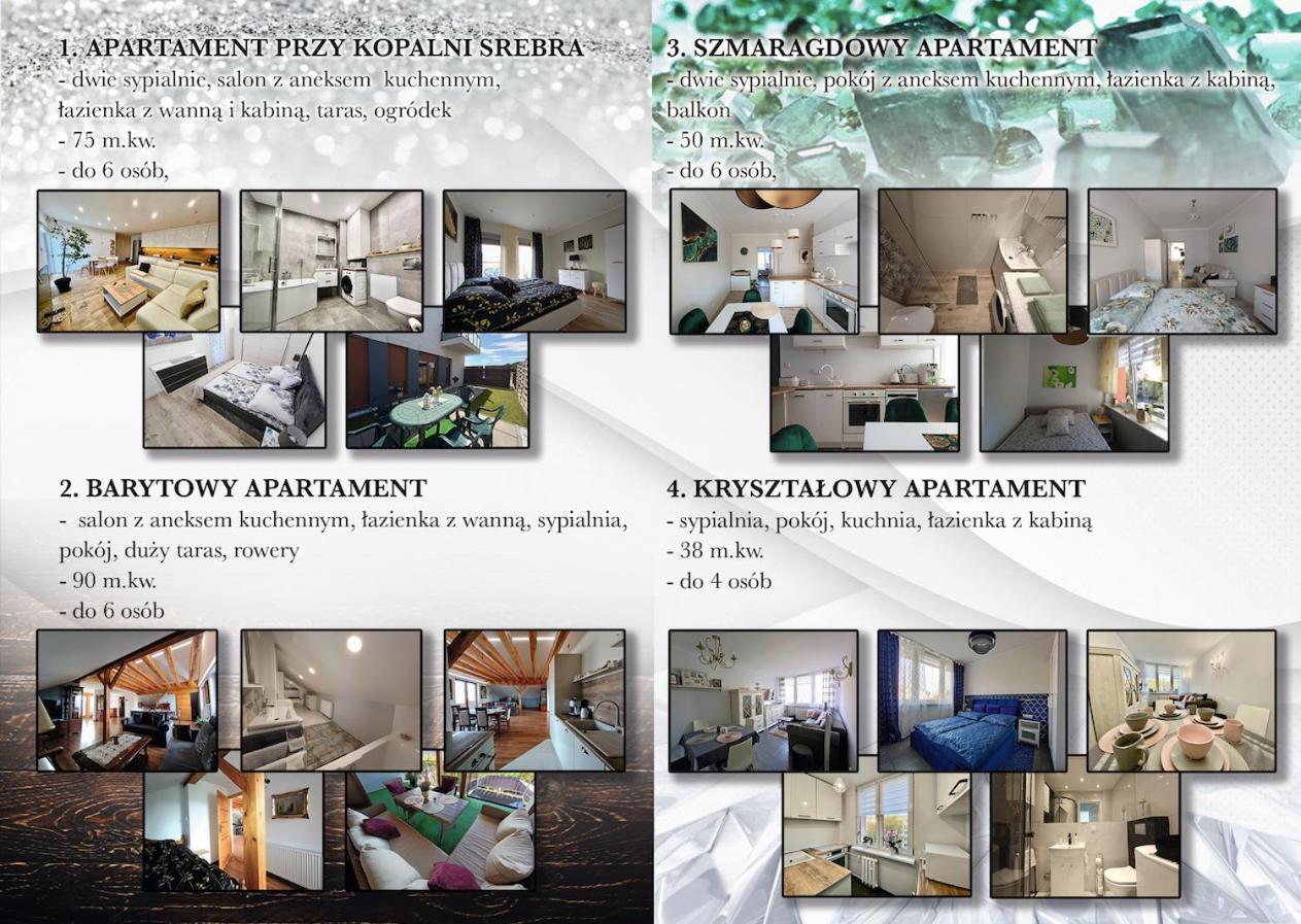 Apartament Przy Kopalni Srebra Тарновске Гори Екстериор снимка